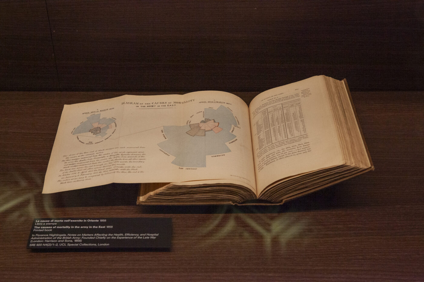 Diagram of the Causes of Mortality by Florence Nightingale