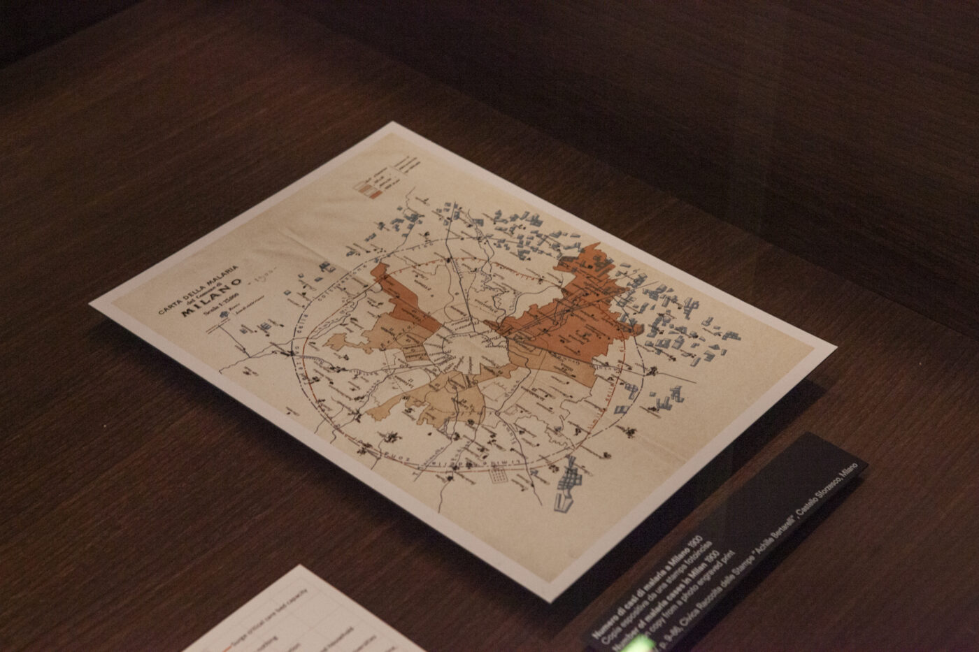 Number of malaria cases in Milan 1900