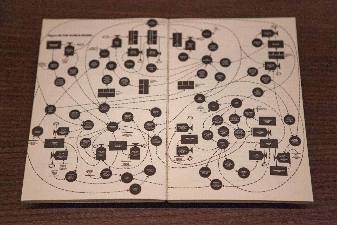 The world model 1972 by Meadows